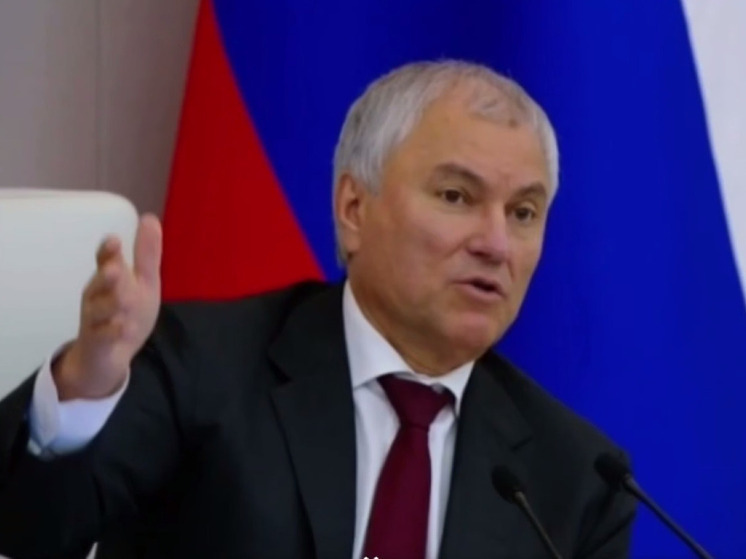 Володин потребовал перевода пенсий иноагентов на специальные счета