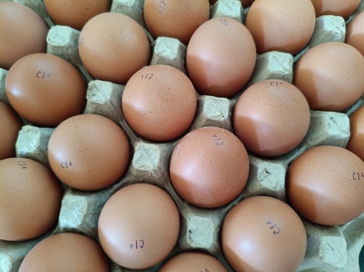 Объем производства сельскохозяйственной продукции КБР достиг 61 млрд рублей