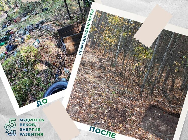 Лес под Барсово очистили от свалки благодаря бдительности жительницы