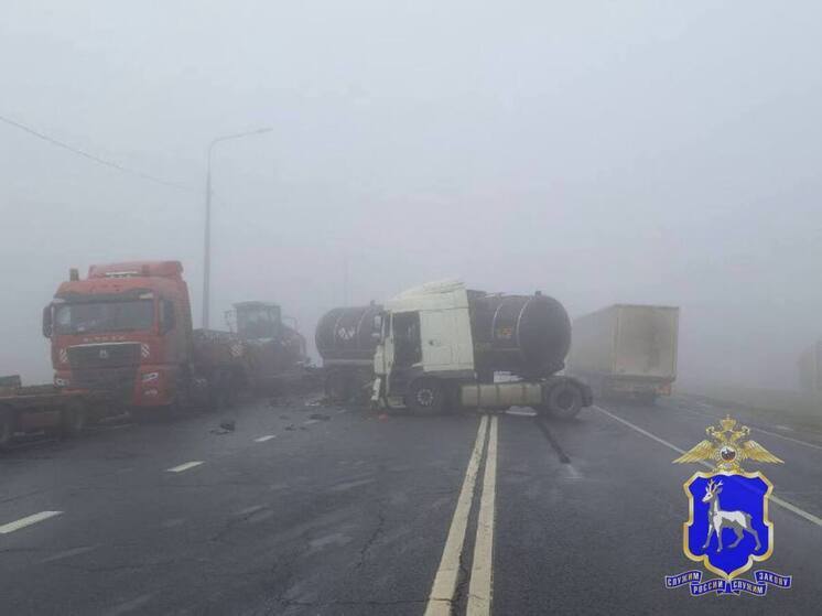 Мужчина на грузовике DAF влетел в стоящий большегруз Sitrak в Самарской области