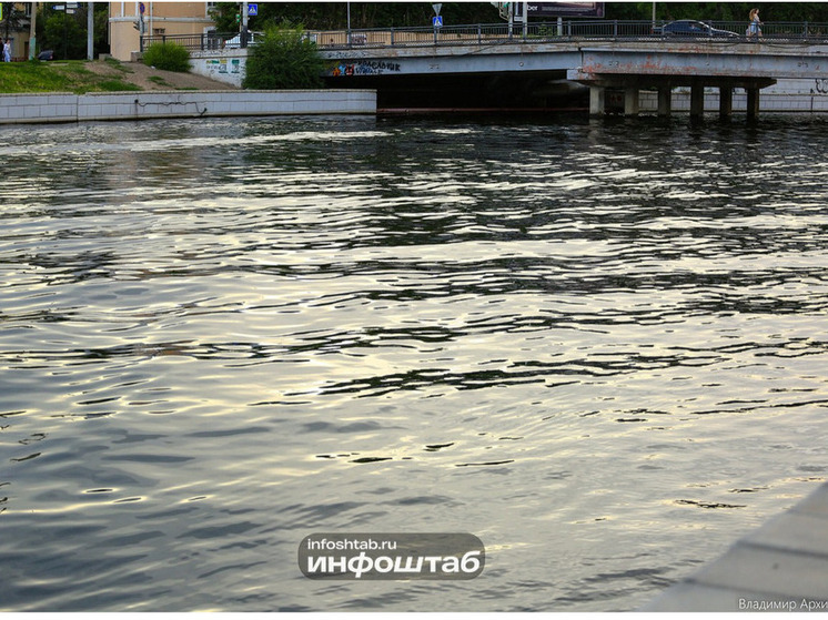 В Астраханской области 150 уток-крякв были выпущены на волю