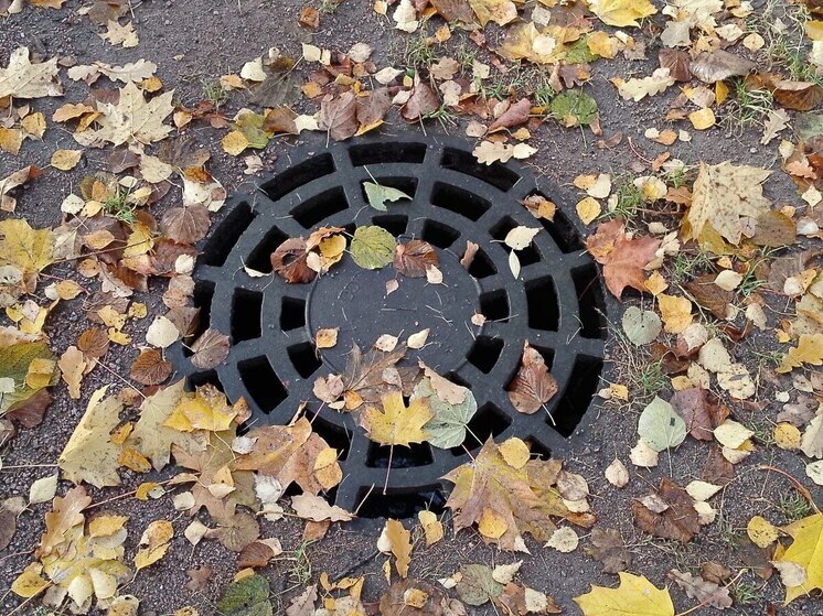 Ленинградцам 30 октября пообещали кратковременные дожди и до +8 градусов