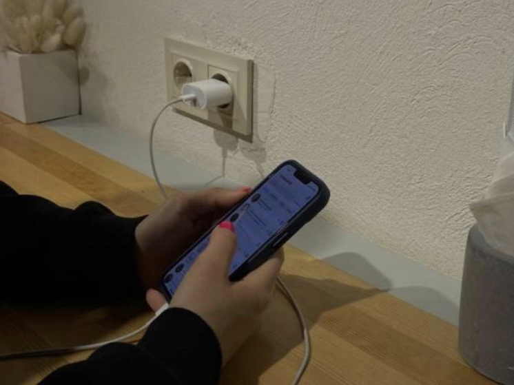 Многодетные семьи Новосибирска смогут подтверждать свой статус через приложение MAX