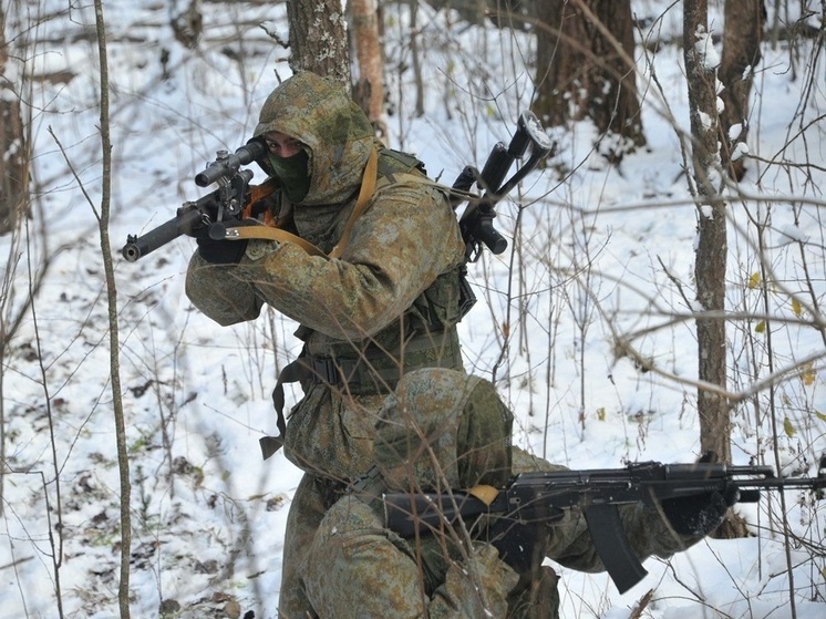 Военэксперт Живой: подразделения ВС РФ продолжат наступление на Украине зимой