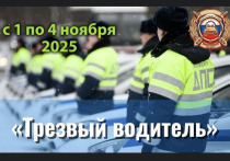 С 1 по 4 ноября 2025 года на территории Архангельской области сотрудники Госавтоинспекции проведут профилактическое мероприятие «Трезвый водитель»