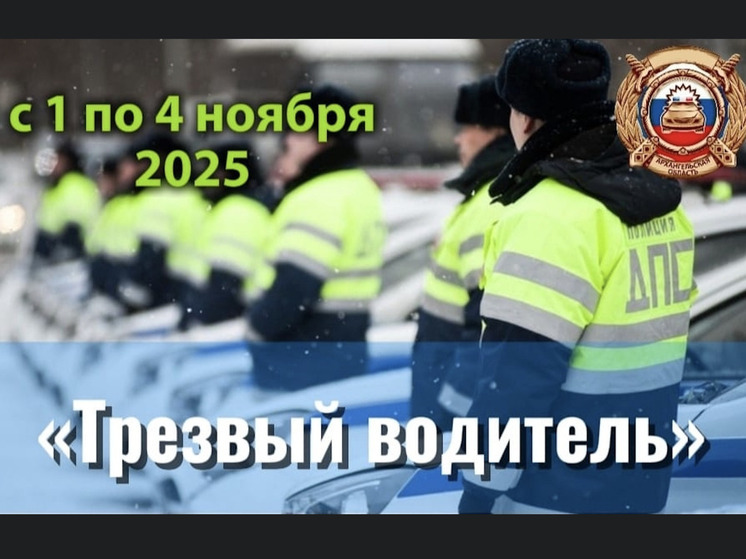 С 1 по 4 ноября 2025 года на территории Архангельской области сотрудники Госавтоинспекции проведут профилактическое мероприятие «Трезвый водитель»