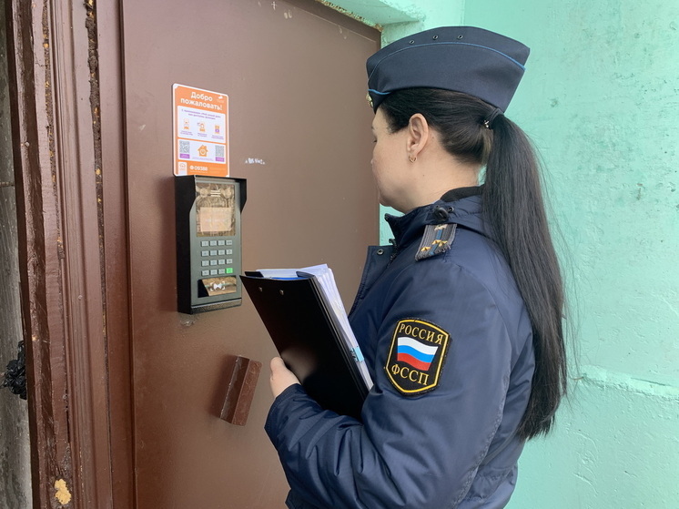 После ареста авто и счетов житель Марий Эл закрыл долг в полмиллиона рублей