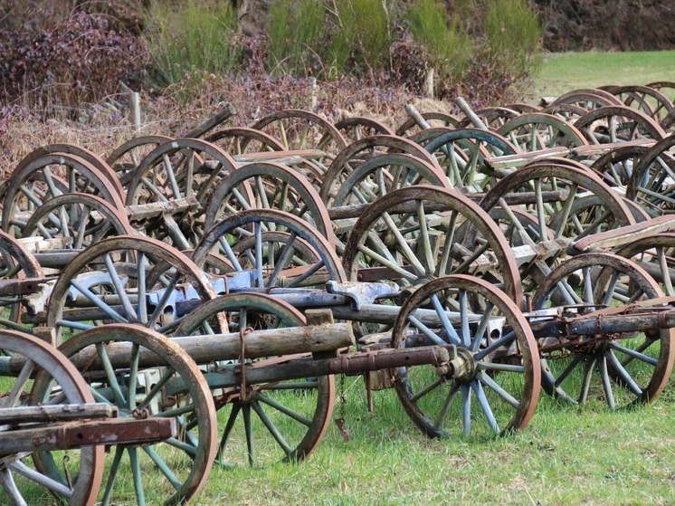 Синоптики 30 октября прогнозируют в Смоленске пасмурную погоду