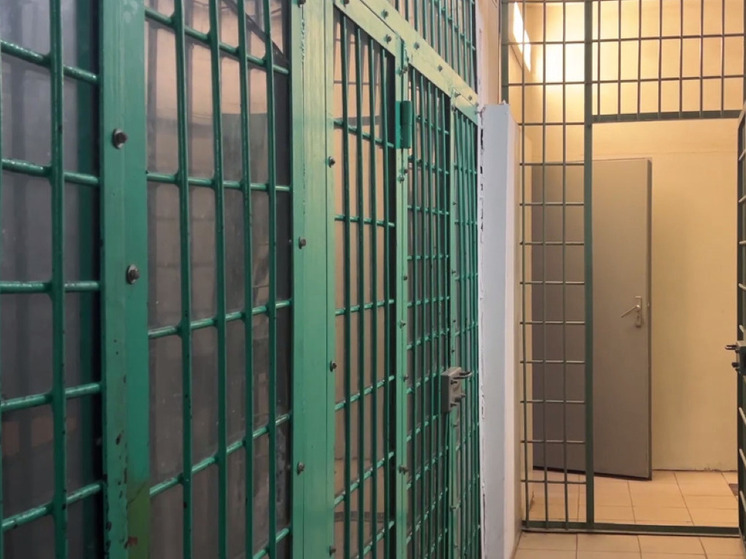 Подсудимый по делу о теракте в Москве Серебряков* признал вину