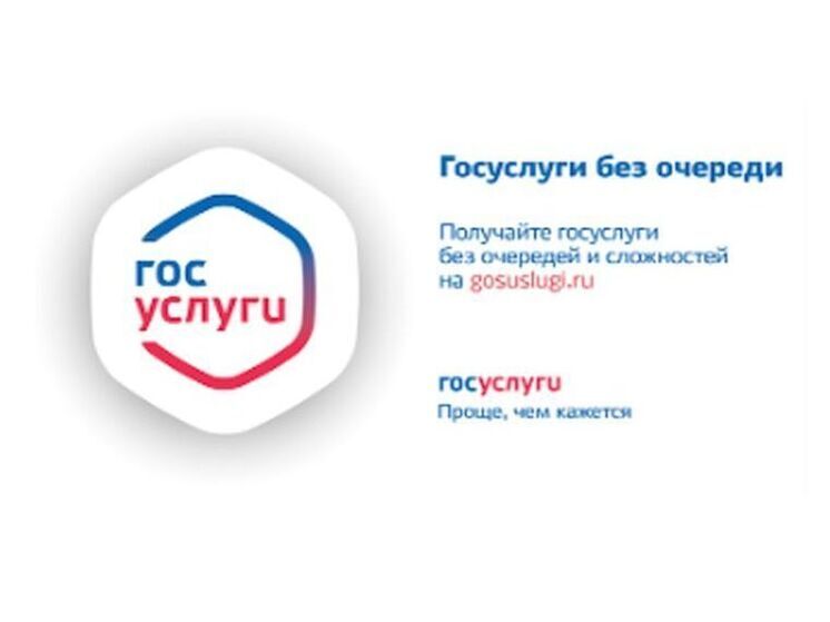 Смоляне подали через «Госуслуги» более 3 миллионов заявлений