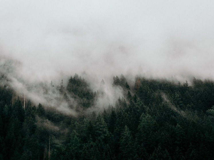 Туман накроет Херсонскую область 30 октября