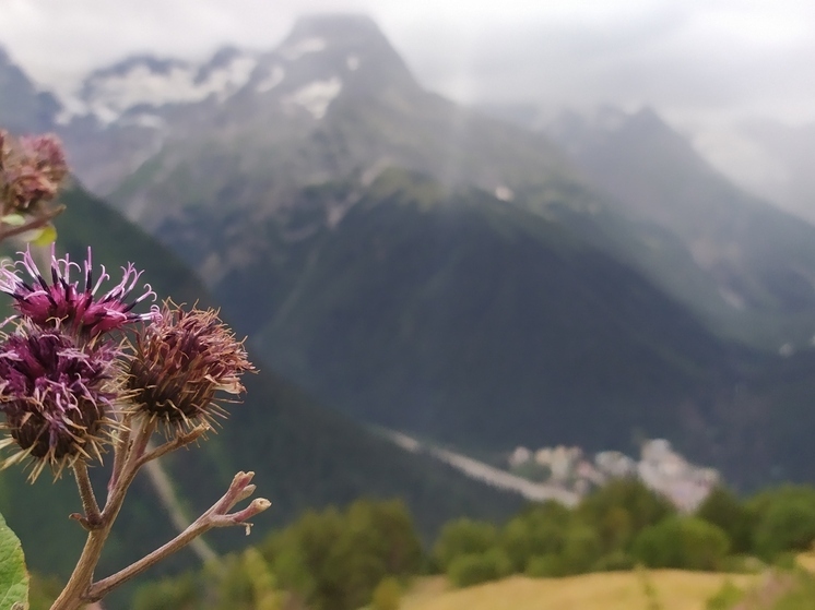 Пропавший охотник найден после трёхдневных блужданий в горах Чечни