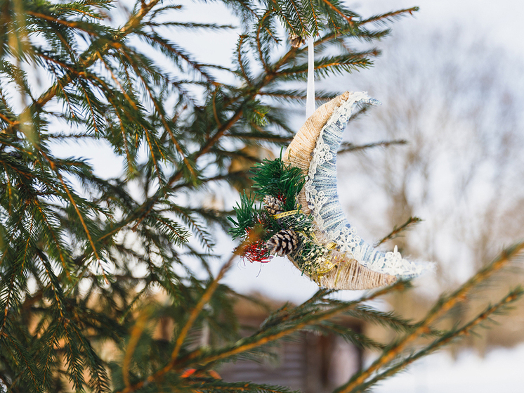 Ясная Поляна объявила конкурс новогодних игрушек для усадебной ёлки