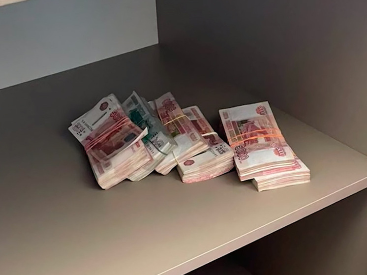 Липецкие оперативники поймали похитителей 11 миллионов