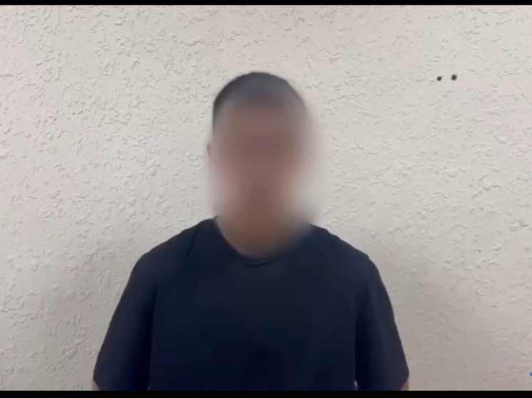 Астраханец извинился за то, что душил лебедя