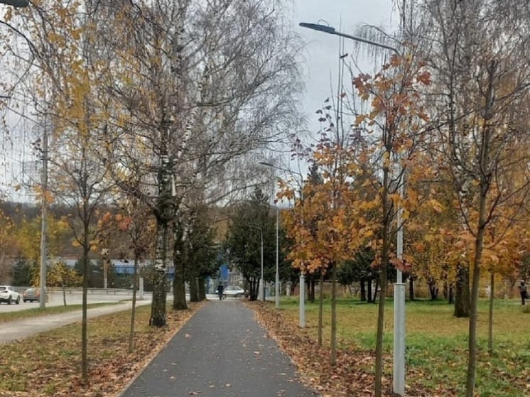 На веломаршруте «Лев Толстой» в Туле появились 75 светильников