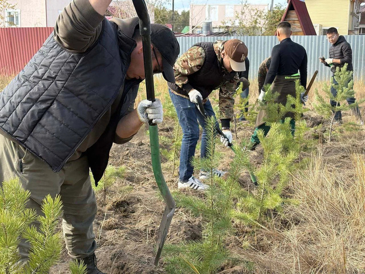 Якутия перевыполнила план по сохранению лесов на 2025 год