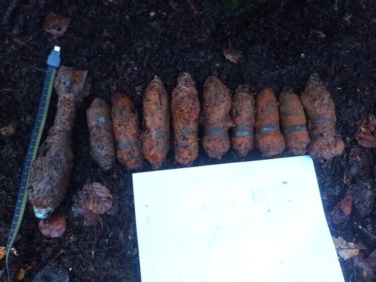 Снаряд времен ВОВ обезврежен в Подмосковье