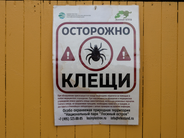 Аномально теплая осень продлила сезон клещей в Подмосковье