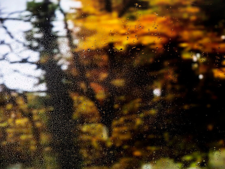 30 октября в Брянской области местами пройдут дожди