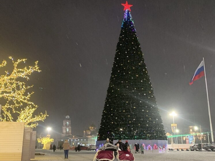 Монтаж новогодней ели в Пролетарском округе Тулы обойдется в 3,4 млн рублей