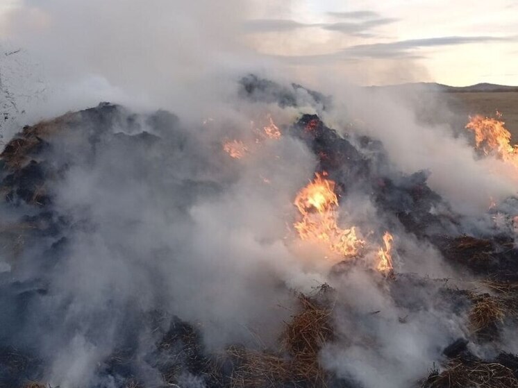 Дети сожгли 6 тонн сена в Забайкалье