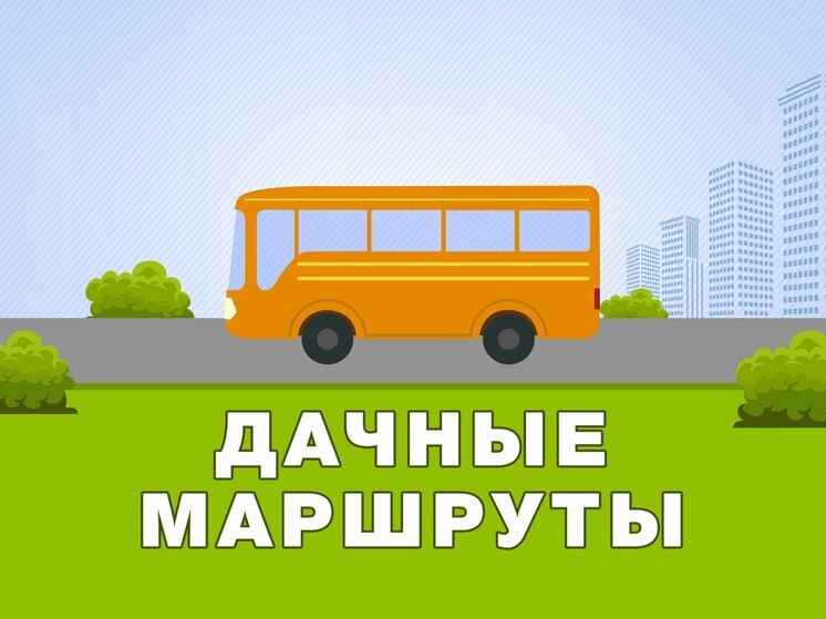 Уехать на дачу станет сложнее: с 5 ноября в Тамбове отменяется автобусный маршрут №108