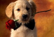 Дни рождения 30 октября