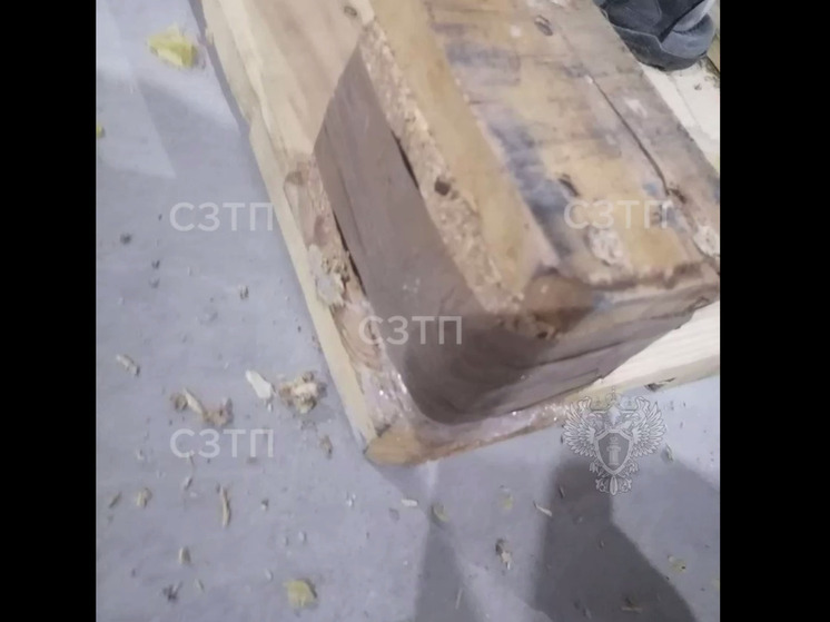 Петербуржец получил 8 лет за контрабанду 88 кг наркотиков