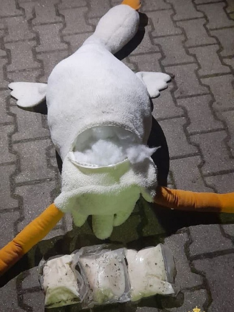 В Ярославле плюшевый гусь стал хранилищем крупной партии наркотиков