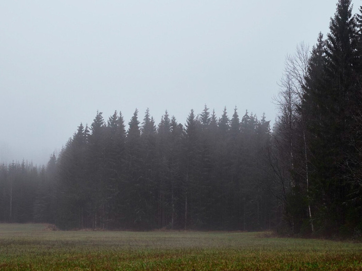 30 октября липчан ожидает облачная погода с осадками и умеренным ветром