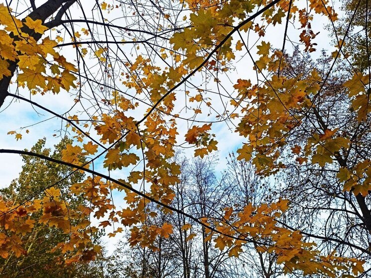 Ивановские синоптики анонсировали мокрый снег и похолодание