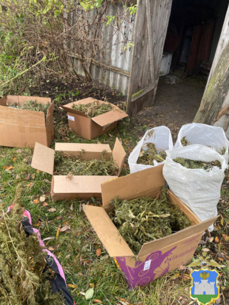 Орловские полицейские изъяли у жителя Курской области 25 кг конопли