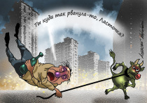 В 13 регионах России теперь можно получить деньги, сообщив о пьяных или странно ведущих себя водителях