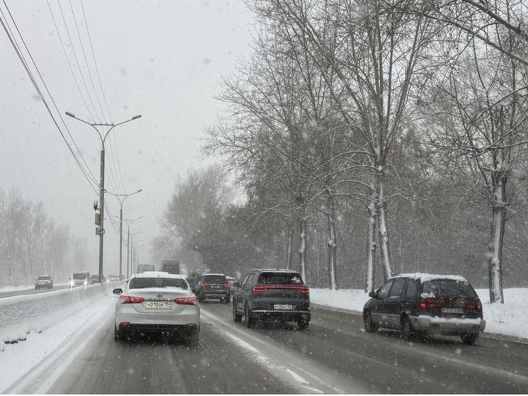 В Новосибирске вспомнили самый морозный ноябрь: почти –40 градусов
