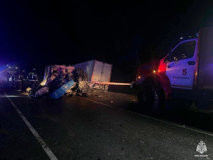 Смертельное ДТП произошло на трассе «Новороссия» в Акимовском округе Запорожской области