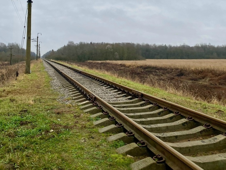 В Новгородской области выпрямили более 20 км железнодорожных путей