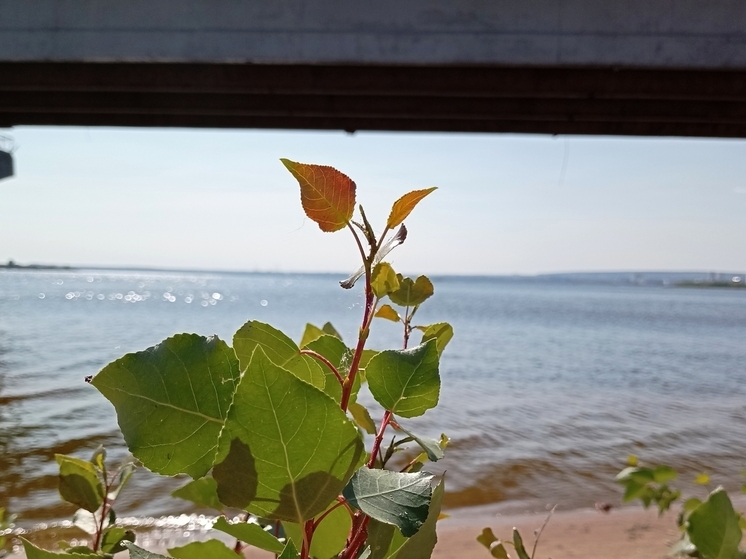 Сила магнитной бури 30 октября составит 4 балла: негативное время для новых начинаний