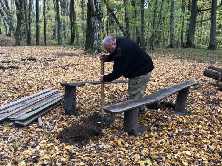 В Краснознаменском лесничестве появились зоны отдыха с лавочками