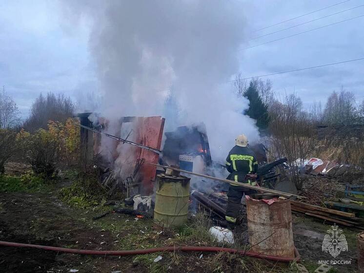 Сотрудники МЧС тушили сарай в Тверской области