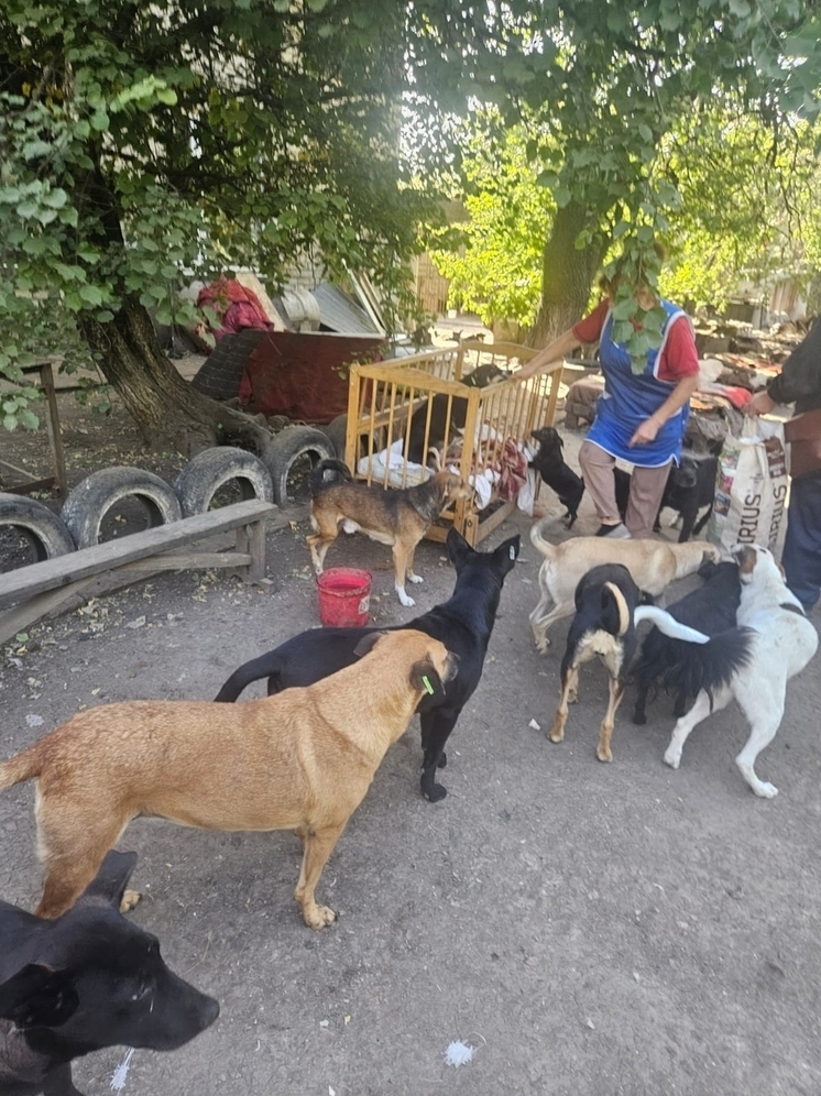 Их взрывали ВСУ, к ним приезжала Брижит Бардо