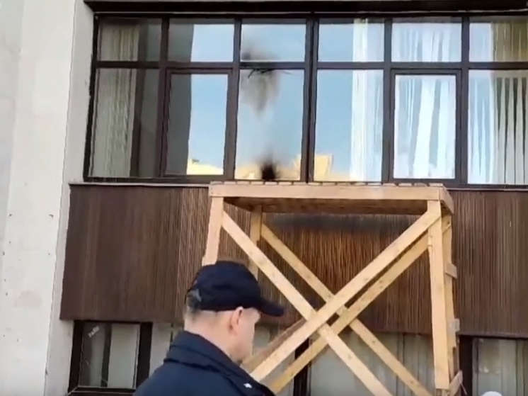 Озвучен приговор поджигателю здания правительства Владимирской области