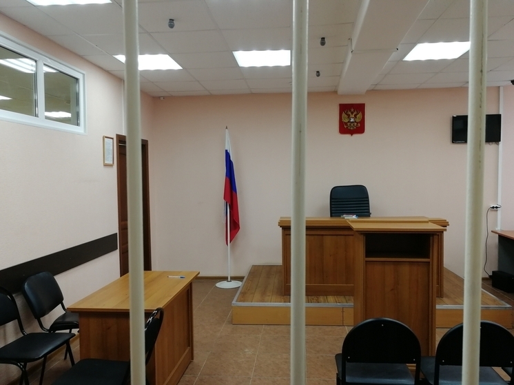 Два жителя Селивановского района осуждены за вырубку леса