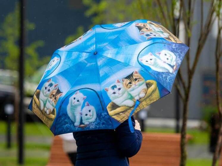 Погода испортится в четверг на Южном Урале