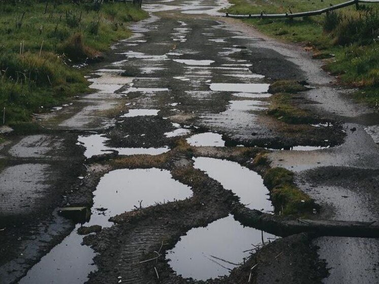 Жителей Воронежа шокировало состояние дороги у детсада №88