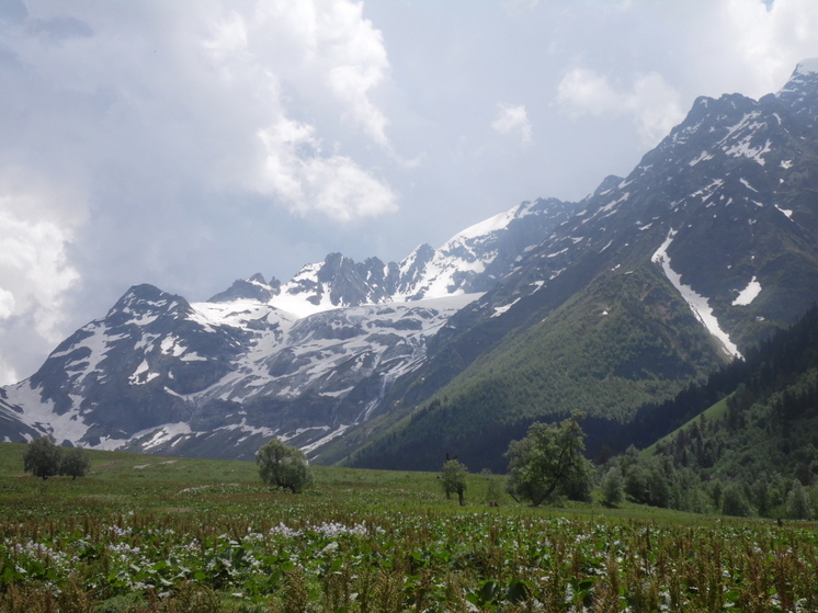 Домбайский отель стал лауреатом международного конкурса CREDO-2025