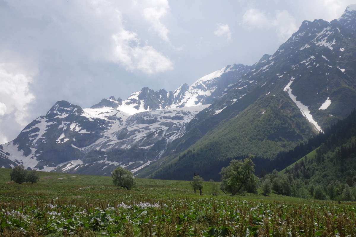 Домбайский отель стал лауреатом международного конкурса CREDO-2025