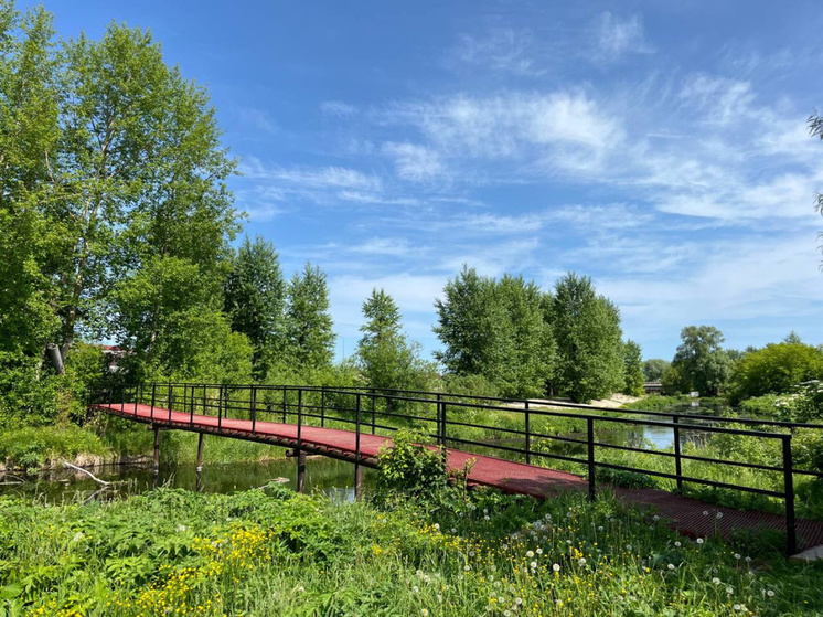 В Ординском округе обустроены три пешеходные зоны