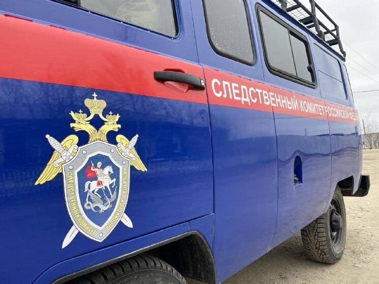 В Якутии завершено расследование дела против мужчины, обвиняемого в насильственных действиях сексуального характера в отношении несовершеннолетних