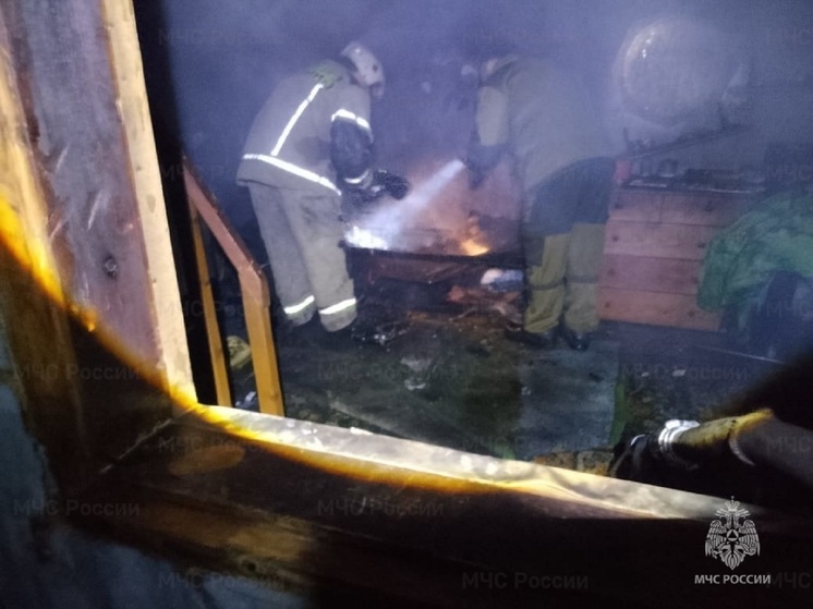 При пожаре в садовом домике в Первоуральске погиб человек